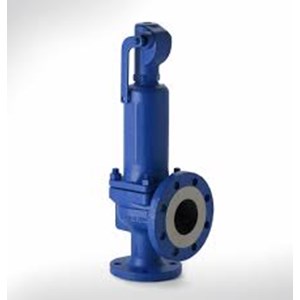 Pressure Safety Valve Type Flange