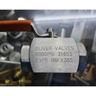 Ball Valve SS316 6000psi 3/8" NPT OLIVER TYPE B6FX38S 1