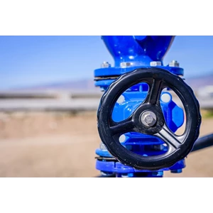 Butterfly Valve